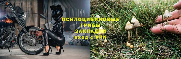 прущая мука Няндома