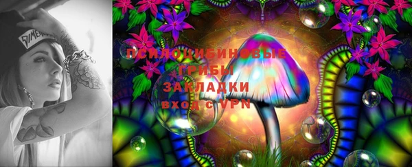 хмурый Нягань
