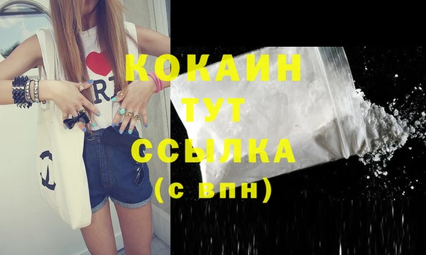 прущая мука Няндома