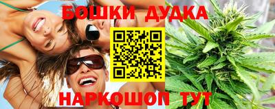 Альфа ПВП Сланцы