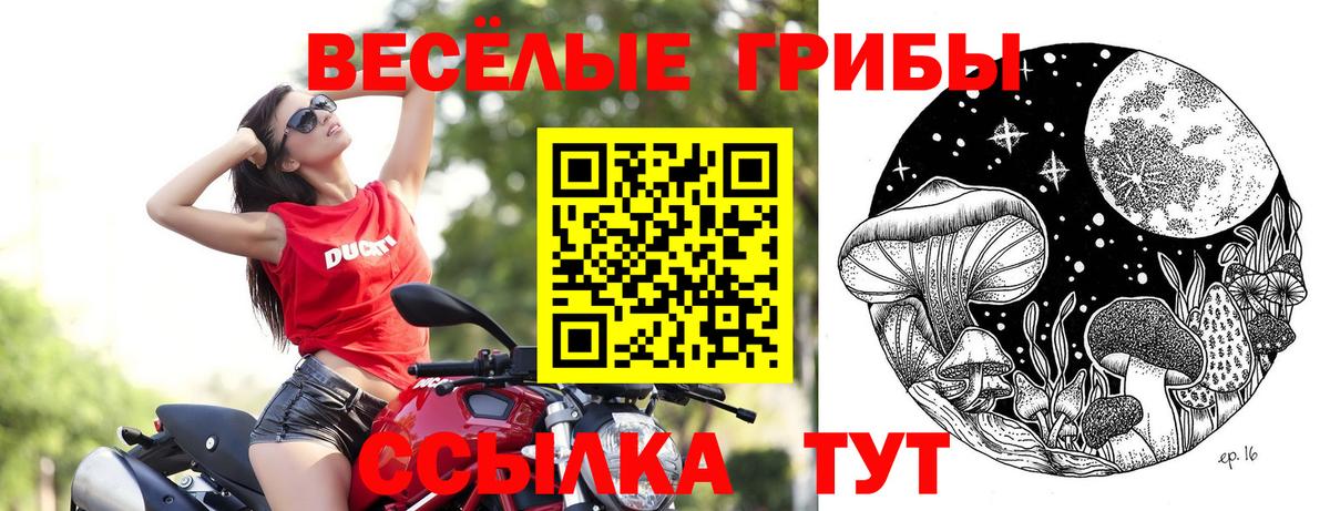 Псилоцибиновые грибы мухоморы Фурманов