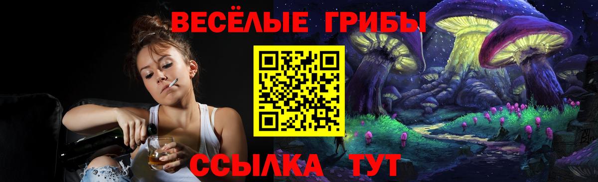 Галлюциногенные грибы MAGIC MUSHROOMS  Вход с VPN  Галлюциногенные грибы прущие грибы  Фурманов 