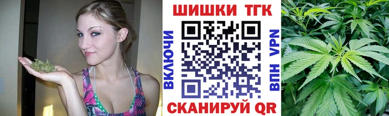 Бошки Шишки семена  купить  цена  Фурманов 